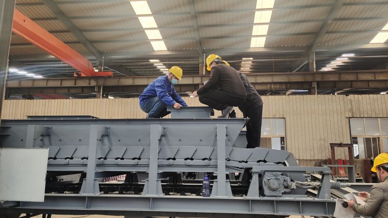 誠信振動板鏈式給料機收尾驗貨